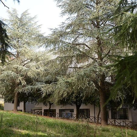 B&B Europa Potenza Ngoại thất bức ảnh